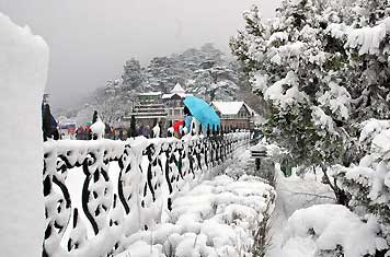 kufri shimla